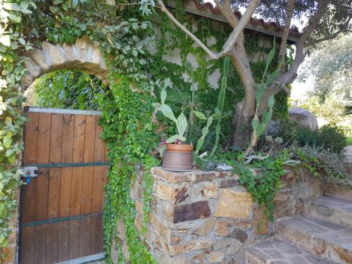Gallery image of da Vale e Tea in San Teodoro
