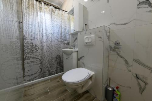 uma casa de banho com um WC e um chuveiro em Lakeside Luxury Apartments em Jablanica