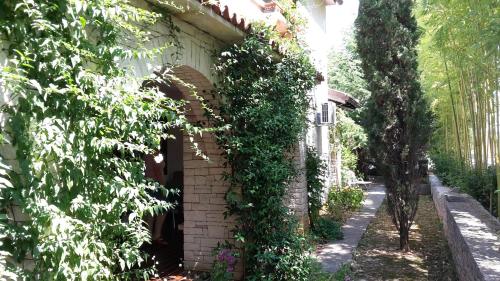 a building with ivy growing on the side of it at Apartments Ruby in Funtana