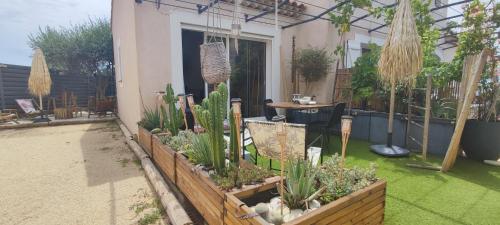 a garden with potted plants in a house at Chambre d'hôtes Chante Cigale in La Ciotat