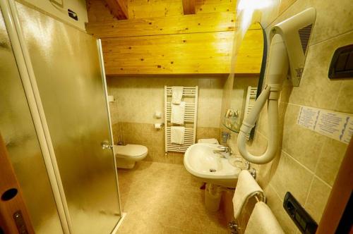 a small bathroom with a sink and a toilet at Garni Baita Cecilia in Livigno