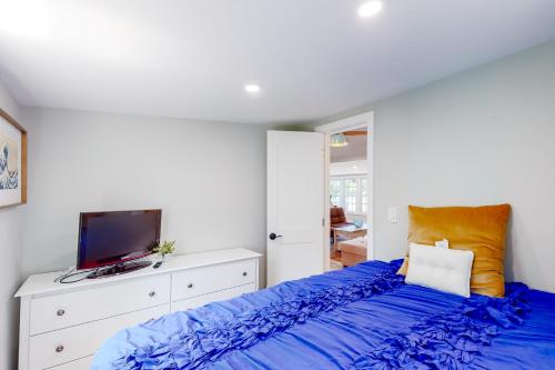 a bedroom with a bed with blue sheets and a tv at Magic on Micajah in Plymouth