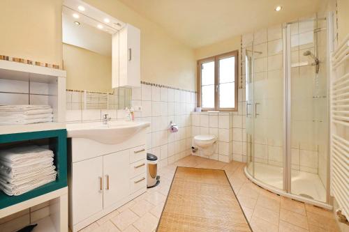 a bathroom with a shower and a sink and a toilet at Ferienhaus Schwarzhans in Schruns-Tschagguns