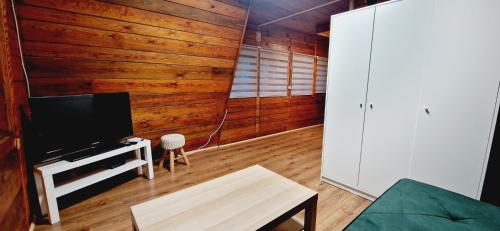 ein Wohnzimmer mit einem TV und Holzwänden in der Unterkunft Domek 34 in Skorochow