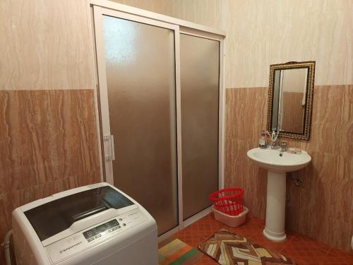 a bathroom with a washing machine and a sink at Maison Hibiscus in Mare Jocquot