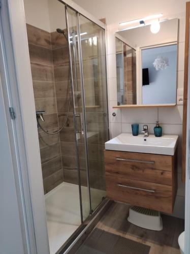 a bathroom with a shower and a sink at Apartamenty Przy Wydmie in Rowy