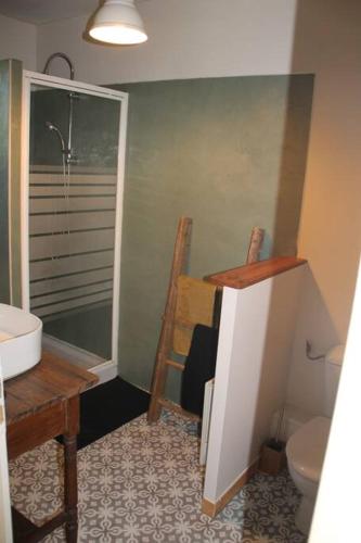 a bathroom with a shower and a sink and a toilet at Pour les amoureux de la nature. in Saint-Cirgue