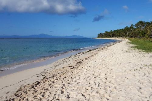 a beach with footprints in the sand and the ocean at Villa La Favorite in Capesterre-de-Marie-Galante
