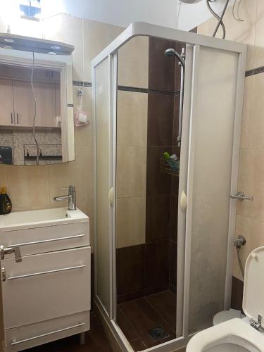 W łazience znajduje się prysznic, toaleta i umywalka. w obiekcie Seaside pearl w mieście Ligia