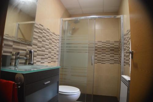a bathroom with a shower and a toilet and a sink at Casa Rural El Convento in Valtierra