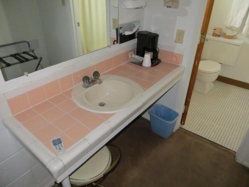 a bathroom counter with a sink and a toilet at Holiday Lodge in Hawthorne