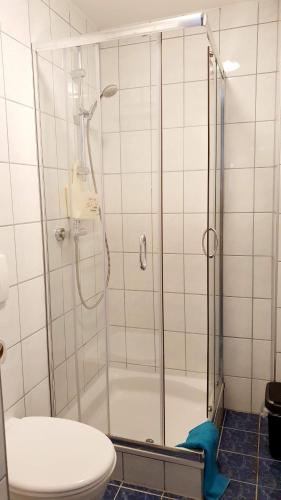 bagno con doccia e servizi igienici. di Casa Zara a Mörbisch am See