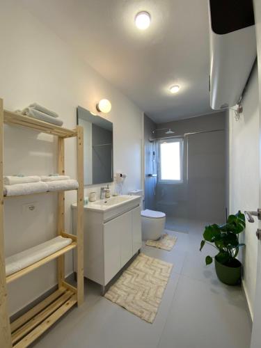 La salle de bains est pourvue d'un lavabo et de toilettes. dans l'établissement Lucas Central Oasis Studios, à Tirana