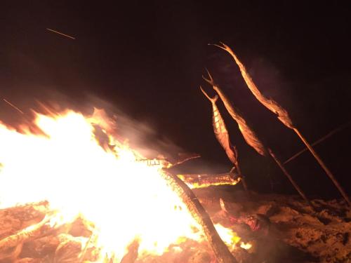 a close up of a fire at night at Taiba Desert Point in Taíba