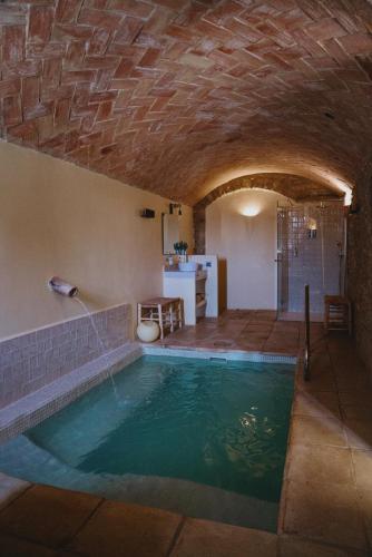 a indoor swimming pool in a room with a ceiling at ECOTurisme Can Buch HOTEL in Sant Aniol de Finestras