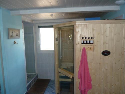 a bathroom with a shower with a pink towel at LA MESANGE BLEUE in Pélissanne