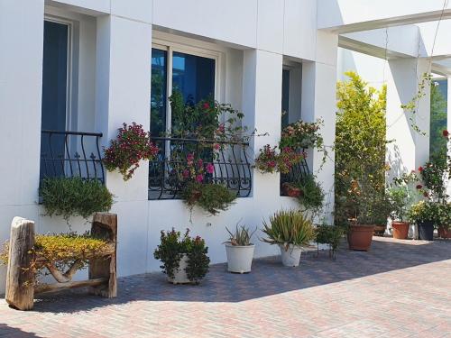 Zahrada ubytování Villa34