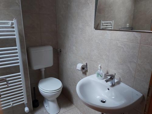 Gallery image of Apartments and Rooms Martuljk in Kranjska Gora