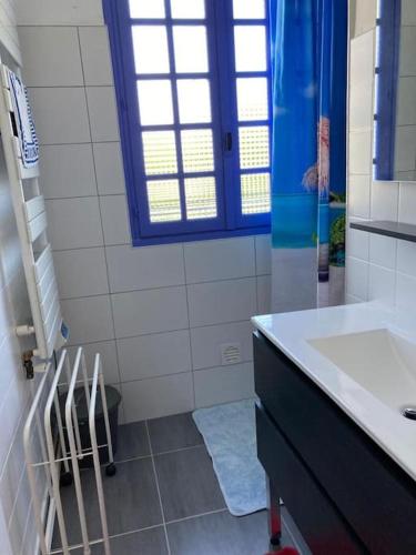 La salle de bains est pourvue d'un lavabo et d'un comptoir. dans l'établissement Villa Mer, Campagne et départ de randonnées, à Moëlan-sur-Mer