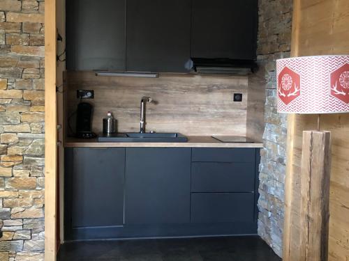 Kuchyň nebo kuchyňský kout v ubytování Beau T3 esprit chalet