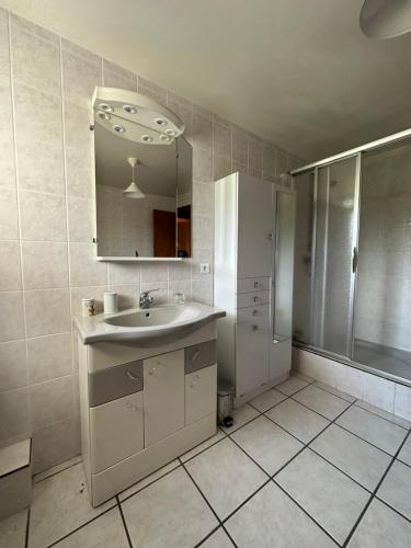 a bathroom with a sink and a shower and a mirror at Les Combes in Murat-le-Quaire