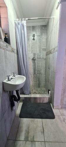 a bathroom with a sink and a shower at Cozy Little Nest in Pretoria