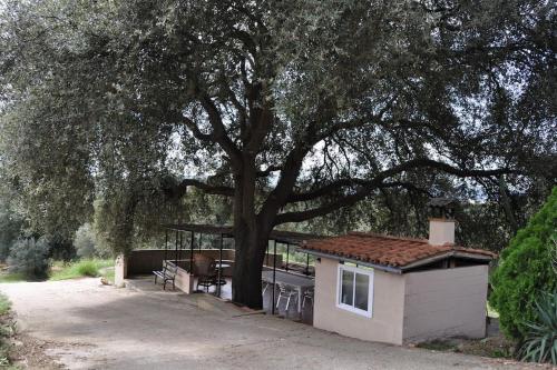Edificio in cui si trova l'appartamento