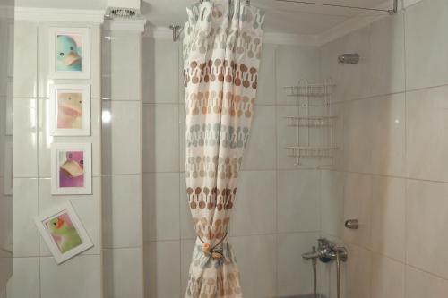 La salle de bains est pourvue d'une douche avec rideau de douche. dans l'établissement Sunshine Apartments #02, à Thessalonique