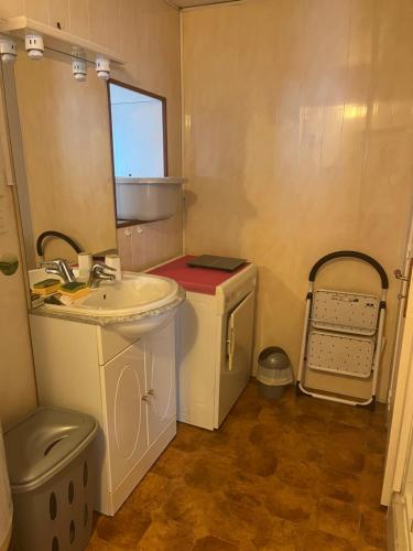 齊塞恩·都蘭的住宿－Ma petite maison de ville，一间带水槽和洗衣机的浴室