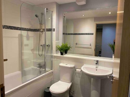 a bathroom with a toilet and a sink and a shower at Spacious Ground Floor 2 Bed by Lains Lettings in Aberdeen