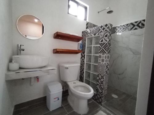 bagno con servizi igienici, lavandino e specchio di Departamentos Santos a Valladolid