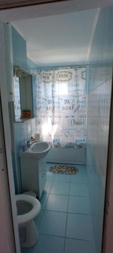 a bathroom with a toilet and a sink with writing on the wall at Apartament Nina in Mangalia