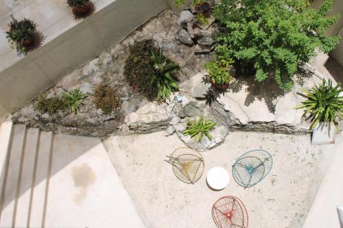 Un jardín fuera de Rocamar Hotel Isla Mujeres