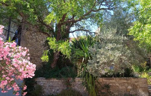 a tree behind a stone wall with pink flowers at Mazet Des Artistes in Mouriès