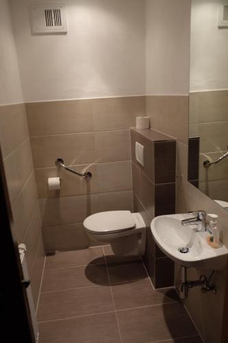 a bathroom with a toilet and a sink at Putz Appartements in Gröbming