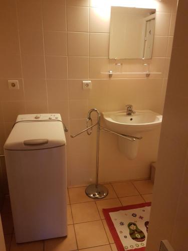 une petite salle de bain avec toilettes et lavabo dans l'établissement Gite de France Rosalie, à Bannes