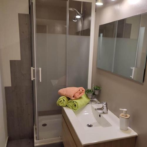 a bathroom with a sink and a shower with a mirror at Home City House confort in Entrevennes