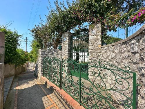 Foto dalla galleria di Dimora Storica Villa Pasquale Capri a Capri