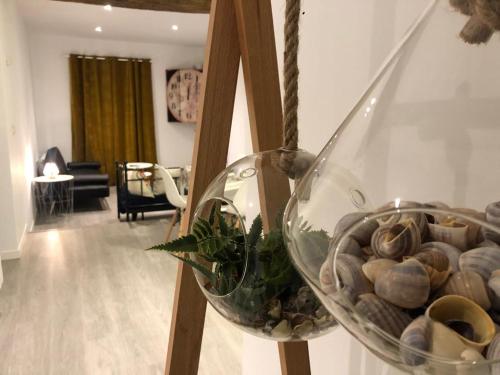 桑坦德的住宿－Apartamento centro Santander A，客厅里装有岩石和植物的玻璃瓶