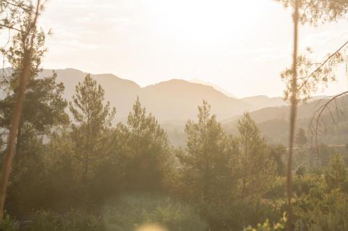 uma vista para uma floresta com montanhas ao fundo em IZZ Getaway - Adults Only em Göcek