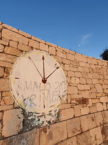 Galería fotográfica de Violeta Hvar en Hvar