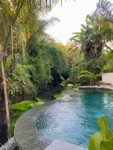 une piscine au milieu d'une rivière arborée dans l'établissement Wahem Eco Bamboo, à Ubud