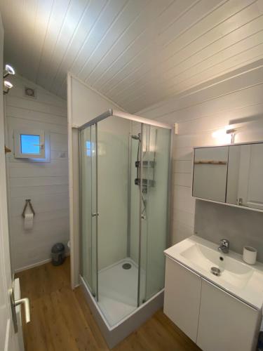 een badkamer met een douche en een wastafel bij Le chalet Arcachonais in La Teste-de-Buch