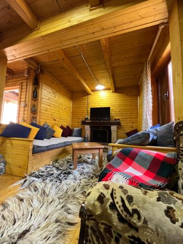 a living room with a large rug in a log cabin at Vila Kanadeze in Koplik