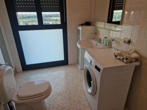 a bathroom with a toilet and a sink and a washing machine at Bella Vista FIDENZA in Fidenza