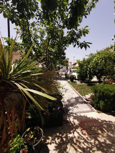 Κήπος έξω από το Apartment D & N