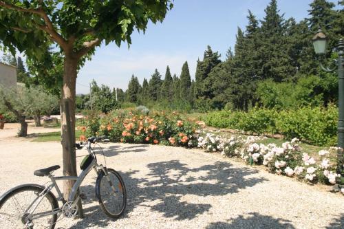 Zahrada ubytování Mirabelle en Provence