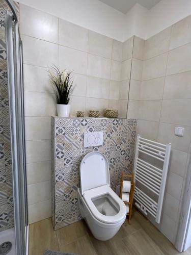 a bathroom with a toilet in a room at Comfortable apartments under the St. Barbara´s Cathedral in Kutná Hora