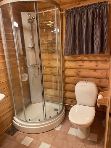 a bathroom with a shower and a toilet at Hovden in Hovden