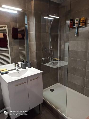 une salle de bain avec une douche, un lavabo et des toilettes dans l'établissement Studio Le Fournadet, à Dax
